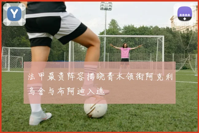 法甲最贵阵容揭晓青木领衔阿克利乌舍与布阿迪入选