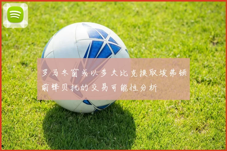 罗马冬窗或以多夫比克换取埃弗顿前锋贝托的交易可能性分析