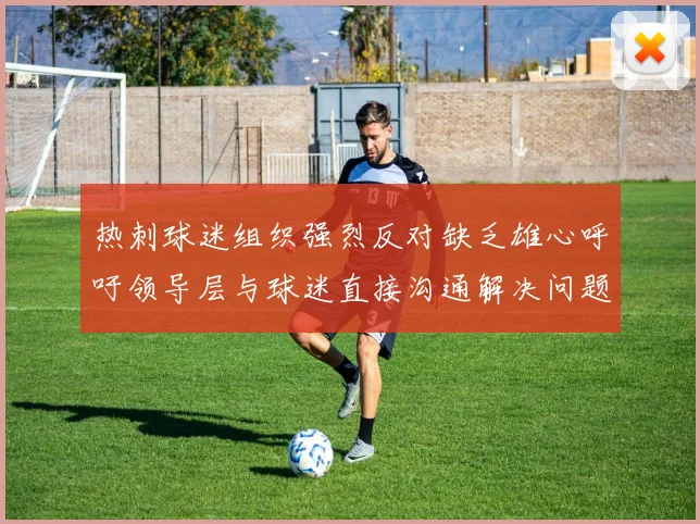热刺球迷组织强烈反对缺乏雄心呼吁领导层与球迷直接沟通解决问题
